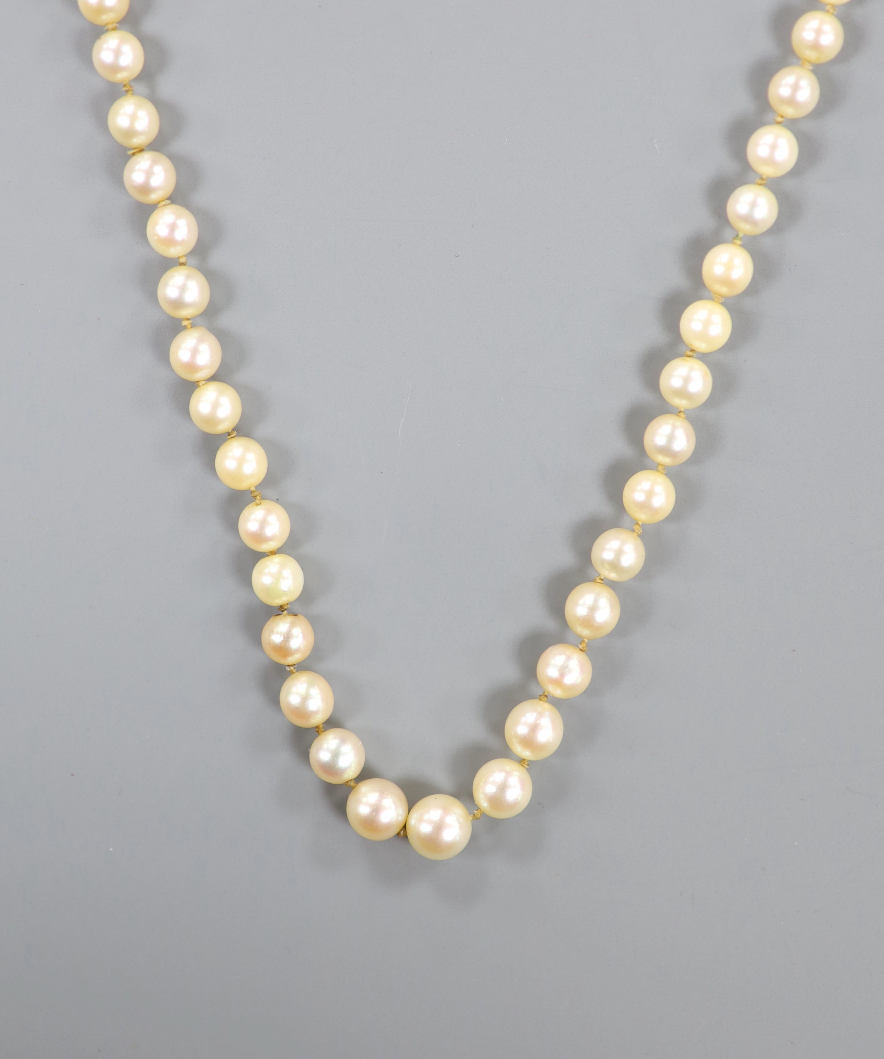 A single strand graduated cultured pearl necklace, with paur shell set clasp, 86cm.